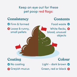 dog poo digestive health signs