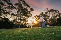 Mad Paws Dog Trainer or Dog Walker can help to maintain regular exercise which can also help manage their anxiety.