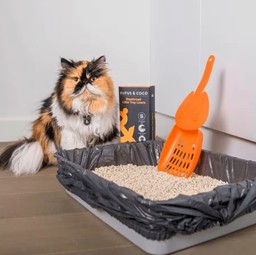 How often should you change litter tray best sale