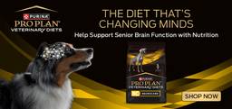 Purina Pro Plan Veterinary Diets NC NeuroCare Canine Dry Dog Food