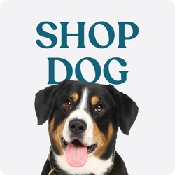 Shop Dog products
