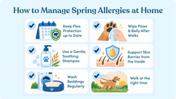 Pet spring allergy checklist covering flea protection, paw wiping, soothing shampoo, skin support, clean bedding and lower-pollen walks
